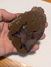 Funky Moss Agate Dendritic Thunderegg Thunder Egg Crystal Slab