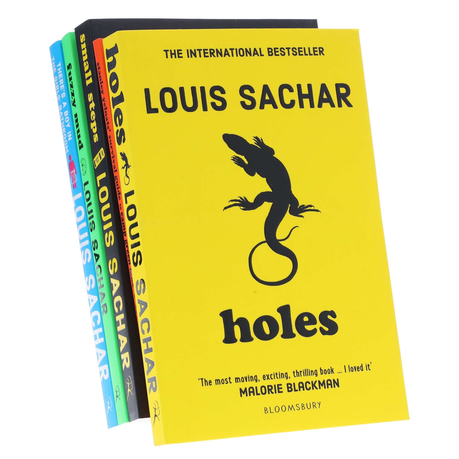 Louis Sachar Collection 5 Books Set - Ages 9-11 - Paperback