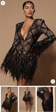 Black Sheer Mesh Mini Dress Feather Sequin Accents Deep V-Neck Long Sleeve Party