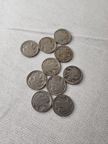 10 Buffalo nickels random dates and mint marks