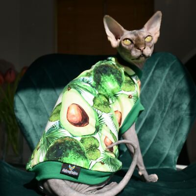 Grün Avocado Baumwolle Strick-Sphynx Katze Top, Devon Rex, Peterbald, Haustier Katze Kleidung