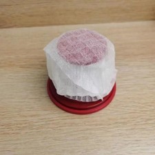 Disposable Vacuum Filter - 100Pcs Mesh Cover for Home Cleaner