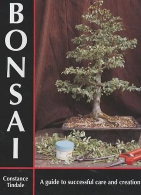 Bonsai By Constance Tindale
