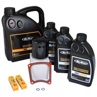 Eightball Custom® Inspektionskit FüR Harley Davidson Evo Touring 1985-1999 Schwa
