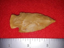 C3-373:  2-3/8 in. Paoli chert Bakers Creek from Kentucky
