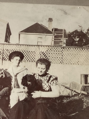 Cabinet Card Photo With Dogs And Soldier; Sailor Style Dress On Woman B4FE - Picture 4 of 6
