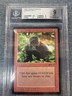 BGS 9 1993 Arabian Nights Kird Ape