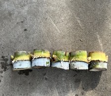 5pcs Rooted Sugarcane Cutting Sweet Juicy Ready To Plant