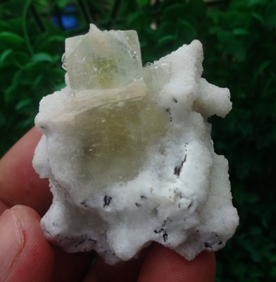 Apophyllite W/ Chalcedony Coral Matrix Minerals