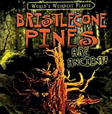 Bristlecone Pines Are Ancient! Hardcover Patricia Fletcher