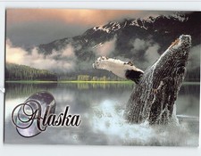 Postcard Alaskan Humpback Whale Alaska USA