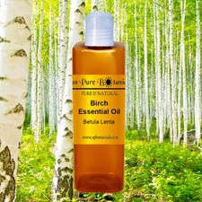 Best Birch Essential Oil  100 Pure  Natural  AROMATHERAPY  Ship Free  16 oz