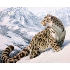 Paint By Numbers DIY Kit Snow Leopard 40CMx50CM Canvas