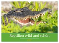 "Calendar 2027 · US Version · Reptiles Wild And Beautiful (Wall Calendar 2027 17\""