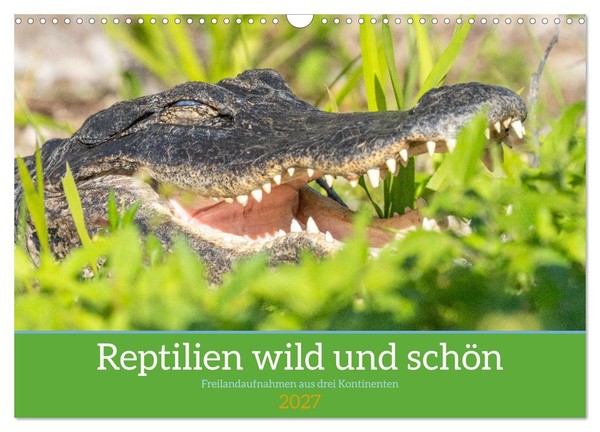 "Calendar 2027 · US Version · Reptiles Wild And Beautiful (Wall Calendar 2027 17\""-image