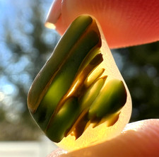 Stunning Pear Green  Yellow Color Splash Multi - Real Davenport Beach Sea Glass
