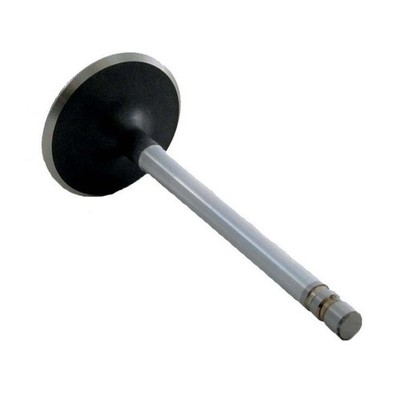 EngineTech Chrome Stem Intake Valve Pack of 1 Direct Fit
