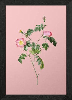 Rosa österreichische Kupfer Rose gerahmtes Wandbild Poster Leinwanddruck Bild
