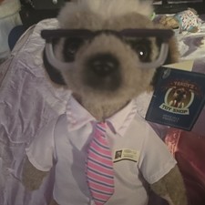 Sergei Meerkat Soft Toy Collectible Item