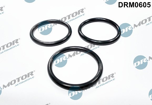 Dr.Motor Automotive Dichtung, Wasserpumpe U.A. FüR CitroËN, Fiat, Ford, Peugeot-image
