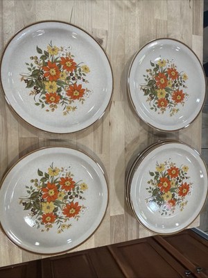 Set of 5 Alpine Mountain Stoneware BROOK GARDENS 10.5  Dinner Plates Vtg Floral