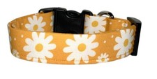 Golden Yellow  White Daisies Daisy Handmade Dog Collar