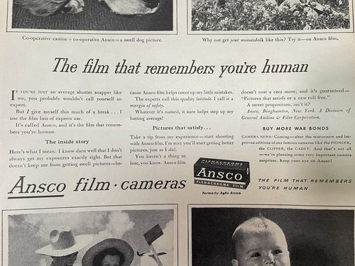 Ansco Film Vintage Print Ad 1944 Baby Cocker Spaniel War Bonds WWII era Large - Picture 3 of 6