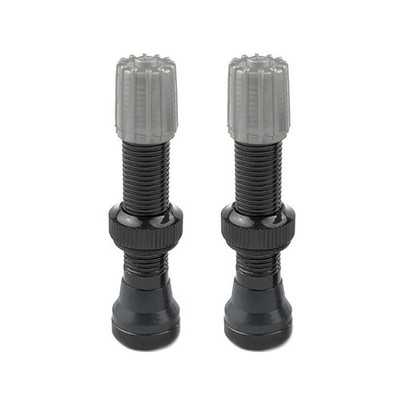 2 Stück Aluminium Tubeless Reifen Schrader1 Ventil AV leichtes Präzisionsgewin