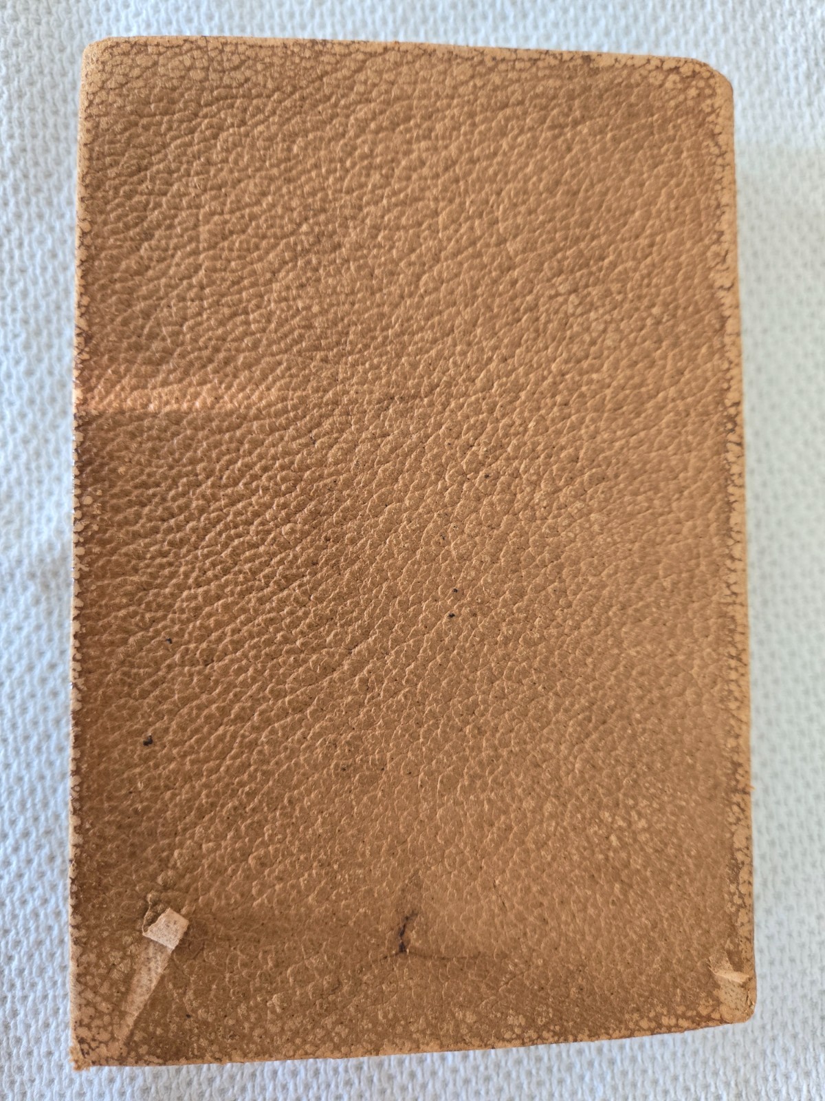 Poems by Lord Byron, H.M. Caldwell Co., 1904