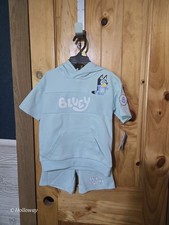 NEW NWT Boy Sz 3 Toddler Textured Blue Shorts Hooded Shirt BLUEY Outfit