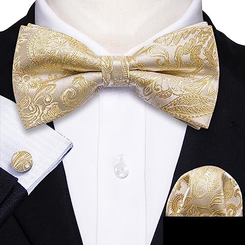 egara bow tie
