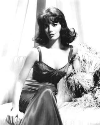 Natalie Wood glamorous in figure hugging dress seated on sofa 4x6 inch photo