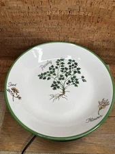 Over and Back Italy Herb Garden Pasta 9.5" Bowl Parsley