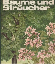 Regine S&uuml;&szlig;kow: B&auml;ume und Str&auml;ucher, Kinderbuchverlag Berlin