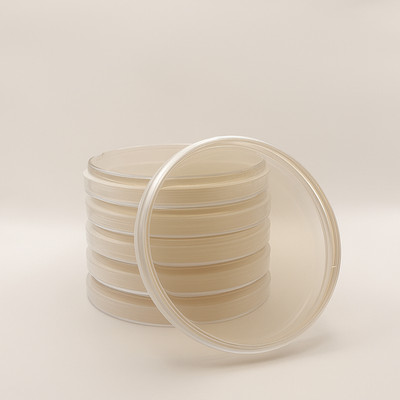 6x vorgegossene MEA (Malzextrakt Agar) Agar Petrischalen in 90 mm Platten
