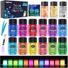 Glow in The Dark Pigment Powder 12 Colors  Gold Foil Flakes for Resin Art, DIY