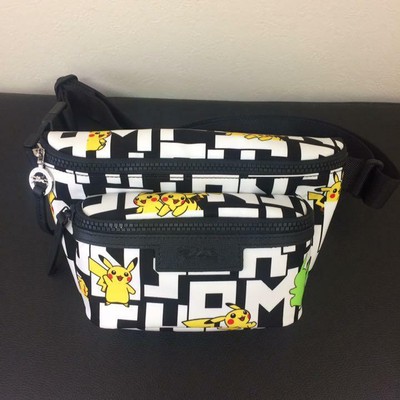 long champ fanny pack