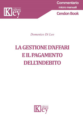 Geschäftsführung und Schuldenzahlung - Von Leo Domenico