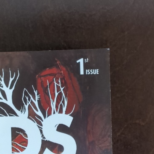The Wilds #1 Ben Templesmith Cover 2nd Print 2018 Black Mask Studios - Picture 4 of 7