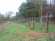 PHOTO  NEW PHEASANT-REARING PEN JUDGING BY THE NUMBER OF BIRDS AND BIRD-FEEDERS