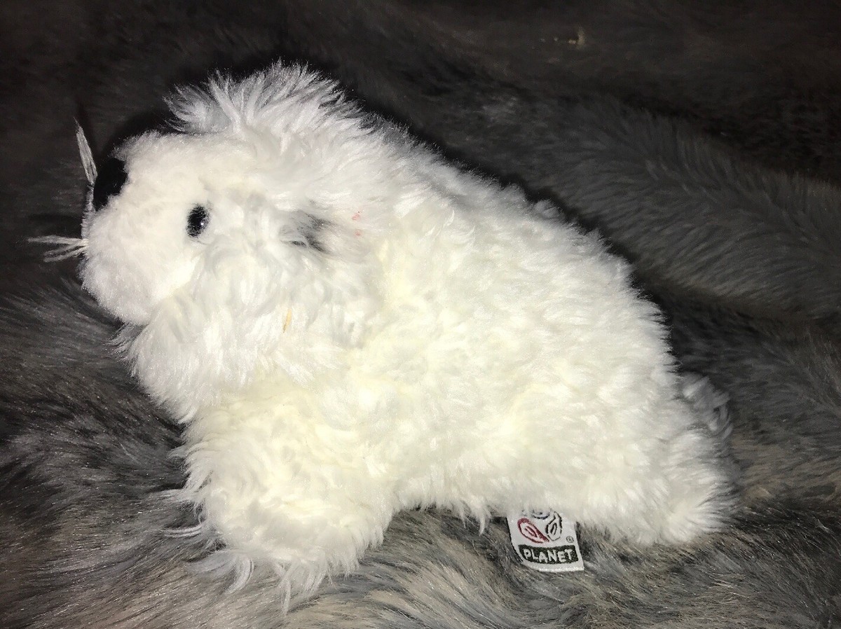 B Peluche phoque blanc NATURE PLANET 27 Cm