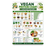 Vegan Protein Sources Poster, Plant Based Food Chart, Healthy Kitchen Decor