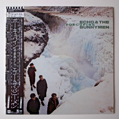 JAPAN 1983 Echo & The Bunnymen   Porcupine NEAR MINT LP P-11288