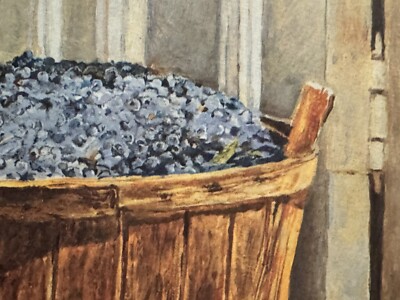 David Armstrong “Blueberries And Phlox” Pencil signed by artist *A