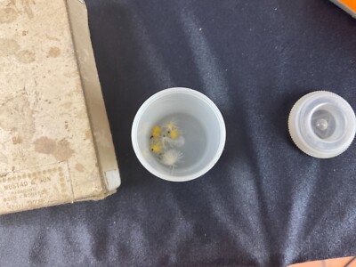 Lot Vintage De Mouches Et Leurres Faits Main Pour Pêche à La Mouche