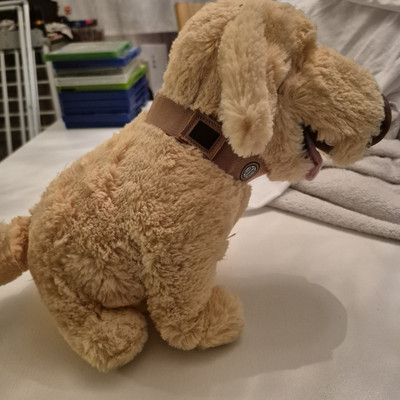 Disney Parks Pixar's UP Dug The Dog 11 Zoll Plüschtier Kuscheltier 