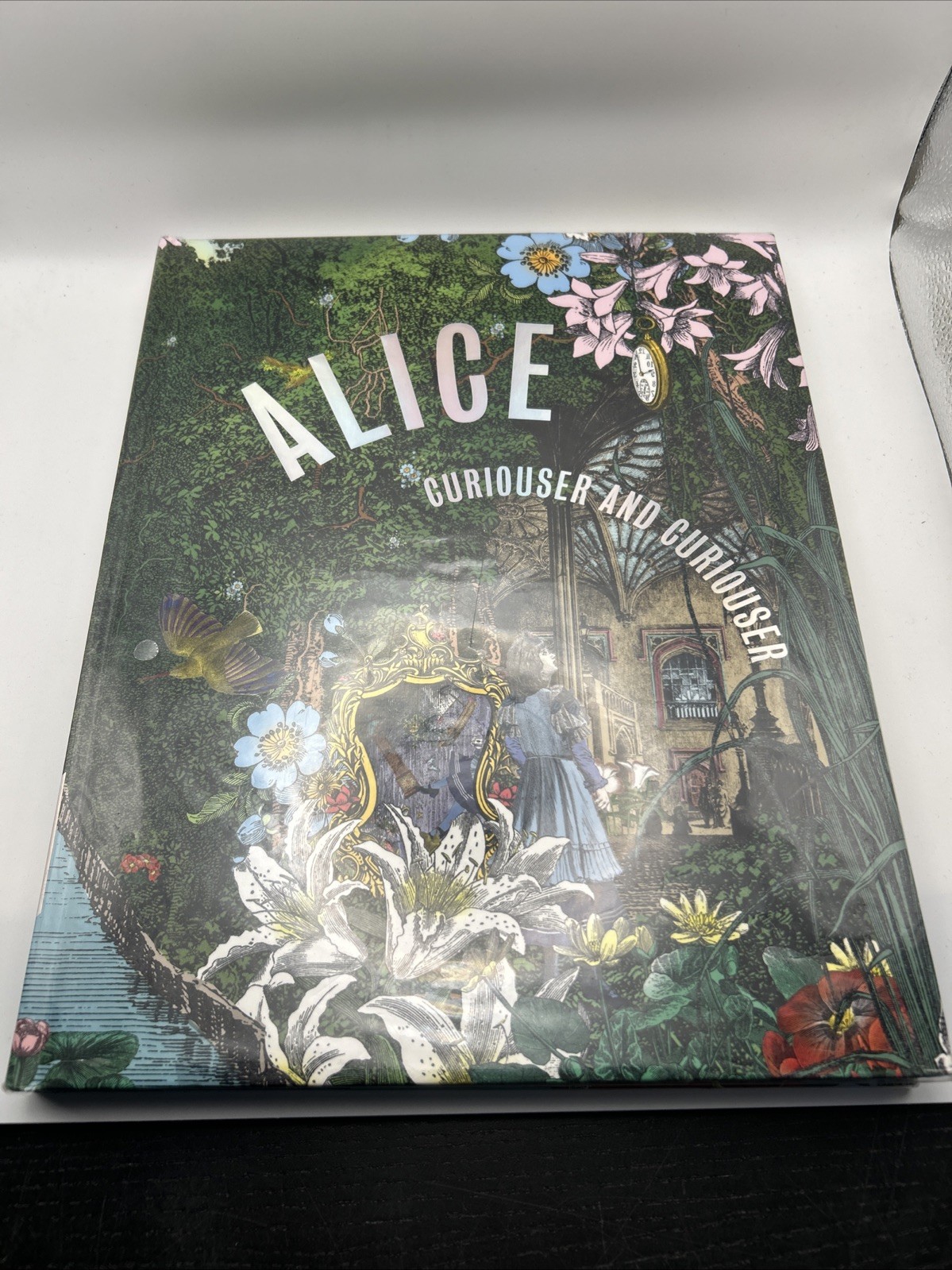 Alice, Curiouser and Curiouser Hardback