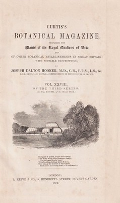 Titelblatt Titel title page Botanical Magazine Botany Vol. XXVIII Curtis 1872