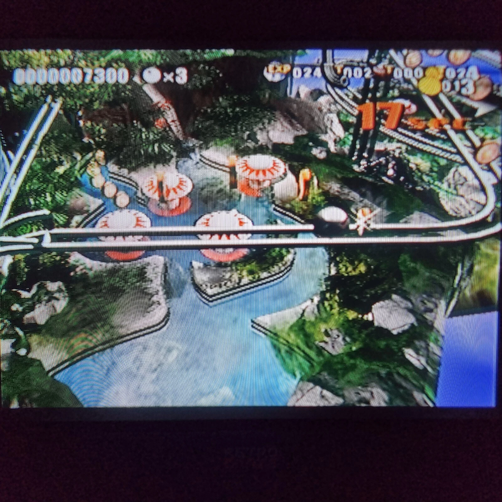 Picture 24 of 24