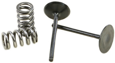 ProX Nitride Steel Intake Valves w/ Chrome Vanadian Steel Springs 28.SIS2444-2